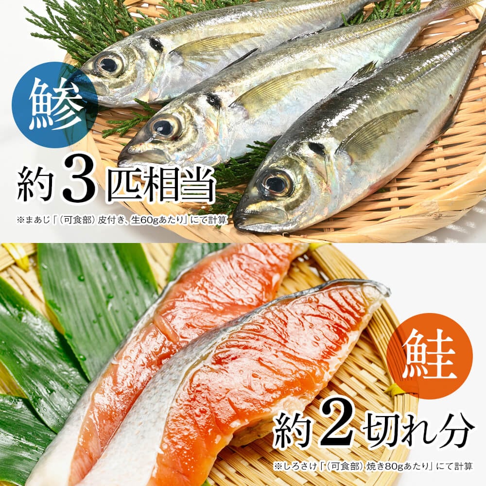 お魚に換算した際の相当量