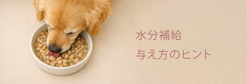 ��ʬ���ˤ�ʤ�ɥ饤�ա��ɤ�Ϳ�����Υҥ�ȡ��ܤ��夤�Ҥ�