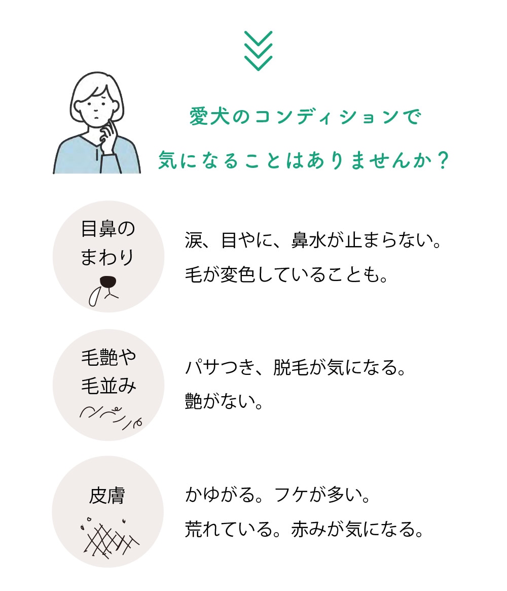 ���Ρ��ܥ�ˡ��ӱ����桡�Τ�Ǻ�ߡ�