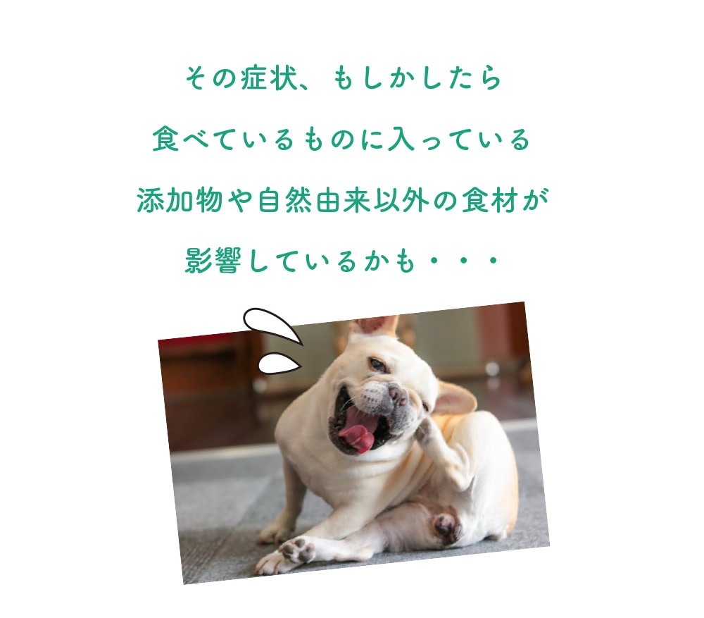 ���ˤʤä��餽���ź��ʪ���������⡡�������Ǻ������Ȥä��ա��ɤǲ������뤫�⤷��ޤ���