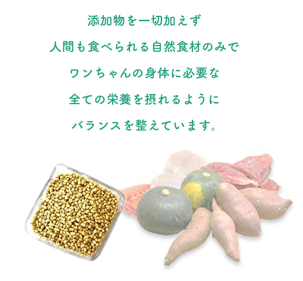 ź��ʪ����ڲä����ʹ֤⿩�٤��뼫������Τߤǥ������ο��Τ�ɬ�פ����Ƥα��ܤ��ݤ��褦�˥Х�󥹤������Ƥ��ޤ���