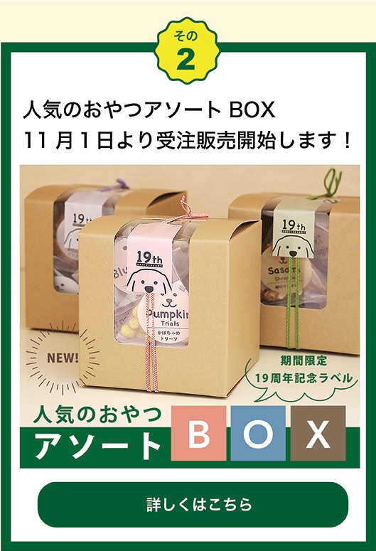 ͵ΤĥBOX 11 䳫Ϥޤ