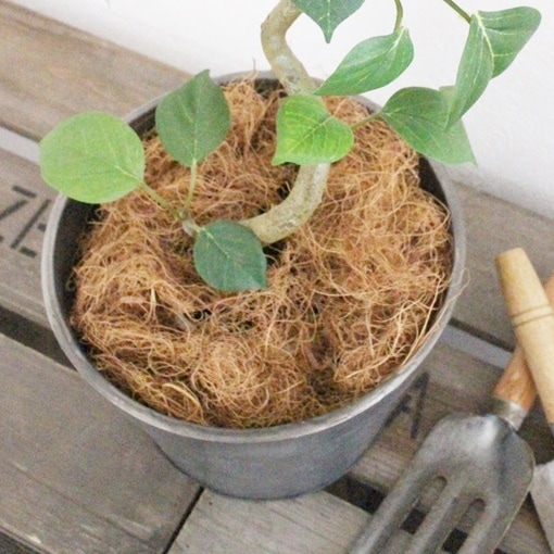 みずたまの葉っぱ|おしゃれなフェイクグリーン・人工観葉植物通販【いなざうるす屋】