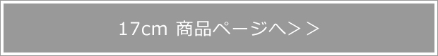ボウル 17cm