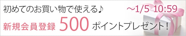 新規会員登録キャンペーン