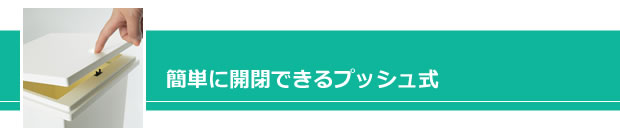プッシュ式