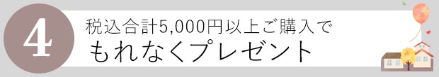 5000円以上お買い上げでプレゼント