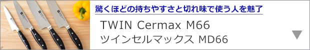 ツインセルマックスM66