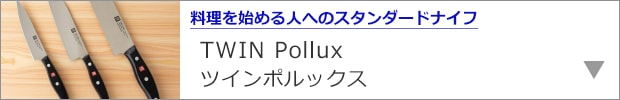 ツインポルックス
