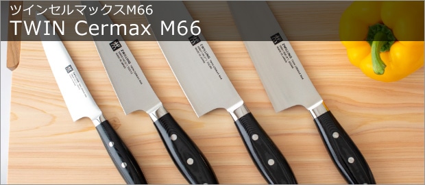 ツインセルマックスM66