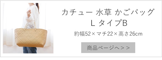 タイプB Lサイズ