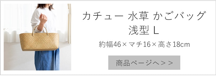 浅型 Lサイズ