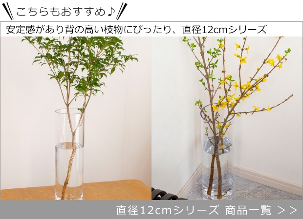 直径12cmシリーズ 商品一覧