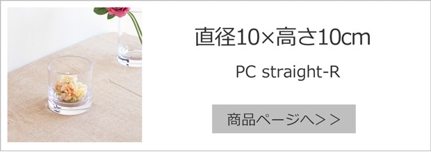 直径10cm×高さ10cm