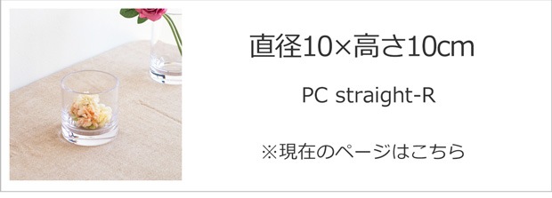 直径10cm×高さ10cm
