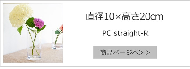 直径10cm×高さ20cm