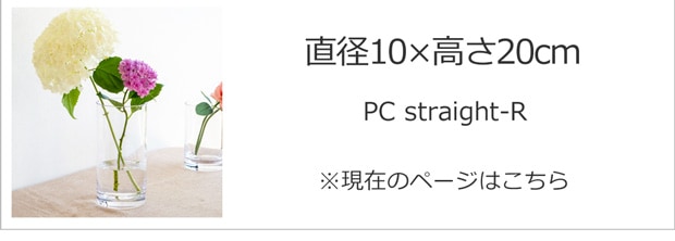 直径10cm×高さ20cm