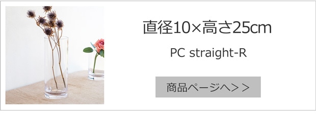 直径10cm×高さ25cm