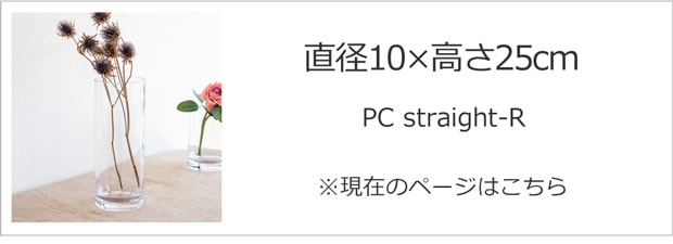 直径10cm×高さ25cm