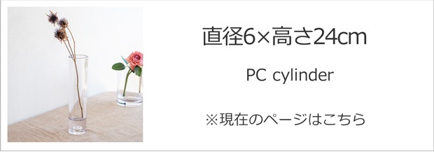直径6cm×高さ24cm