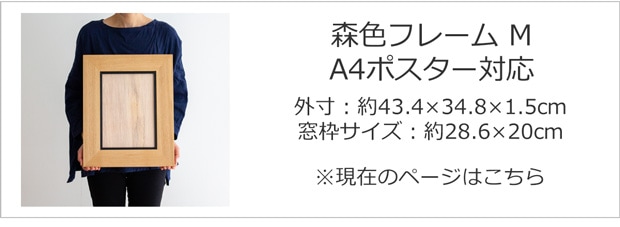 Mサイズ