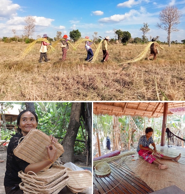 moily / モイリーのお話