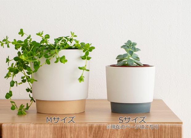 プランターポット 植木鉢 直径9.5cm プランター 小型 陶磁器 ground grip pot S 晋山窯ヤマツ 日本製 美濃焼
