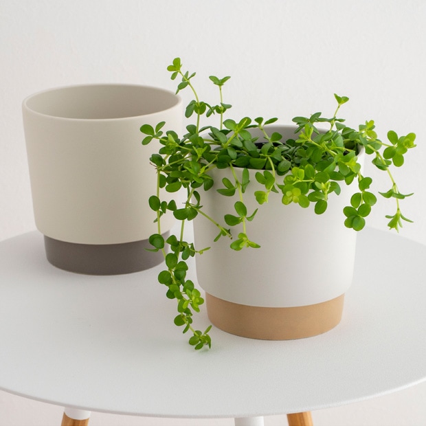 プランターポット 植木鉢 直径11.5cm プランター 中型 陶磁器 ground grip pot M 晋山窯ヤマツ 日本製 美濃焼
