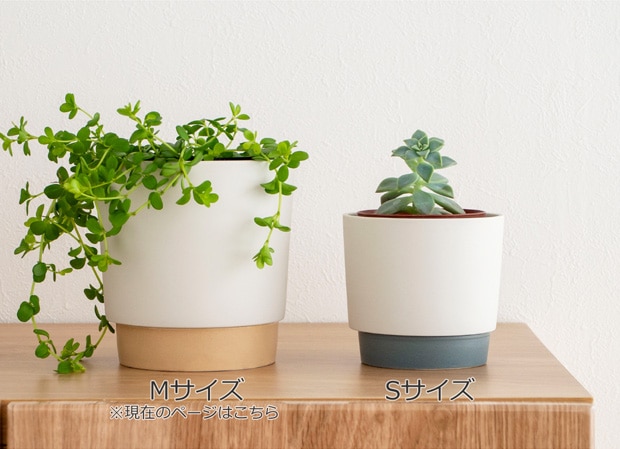 プランターポット 植木鉢 直径11.5cm プランター 中型 陶磁器 ground grip pot M 晋山窯ヤマツ 日本製 美濃焼