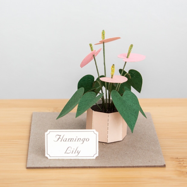 ペーパークラフト キット フラミンゴリリー ミニチュア 紙製 植物 紙風景 紙の風景 Flamingo Lily Jeantopia ジントピア