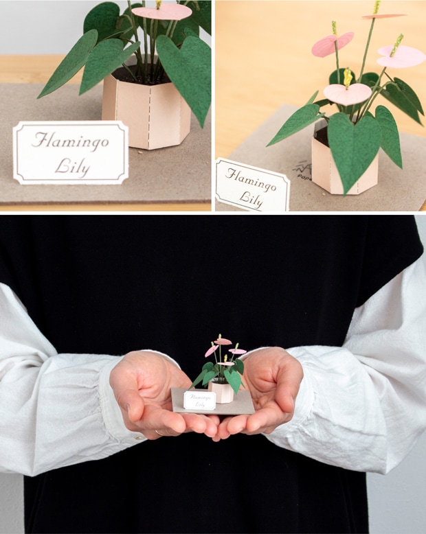 ペーパークラフト キット フラミンゴリリー ミニチュア 紙製 植物 紙風景 紙の風景 Flamingo Lily Jeantopia ジントピア