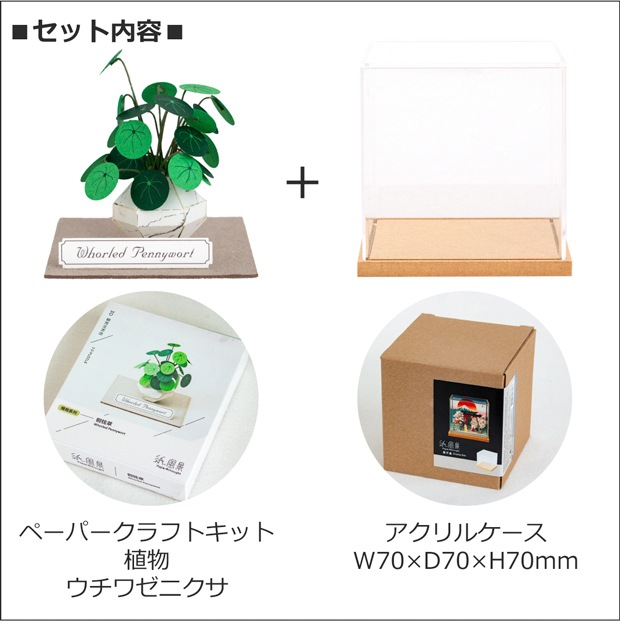 ペーパークラフト アクリルケース セット ウチワゼニクサ ミニチュア 紙製 植物 紙風景 紙の風景 Jeantopia ジントピア