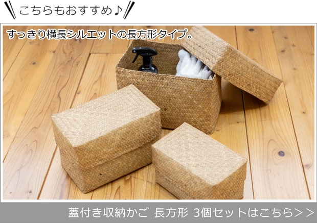 収納かご 長方形 タイプA 3個セット
