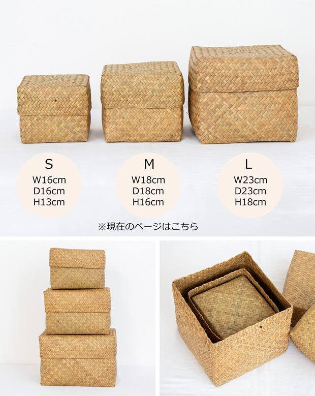 蓋付き 収納かご M 正方形 幅18cm バスケット 深型 サイアム カチュー 水草 天然素材 ハンドメイド 収納ボックス Siam