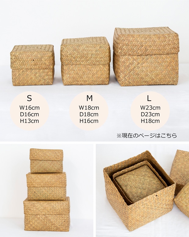 蓋付き 収納かご L 正方形 幅23cm バスケット 深型 サイアム カチュー 水草 天然素材 ハンドメイド 収納ボックス Siam