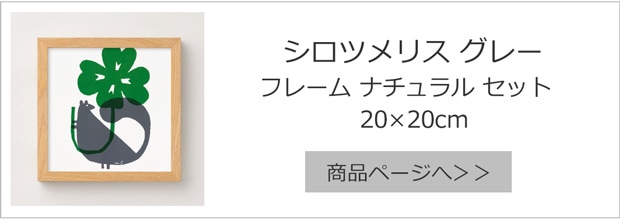 シロツメリス グレー