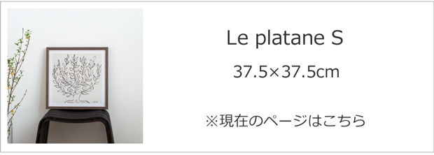 Le Platane S 37.5×37.5cm