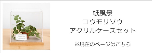 コウモリソウ