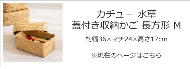 Mサイズ