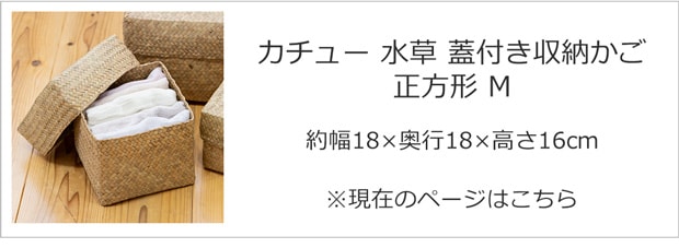 Mサイズ