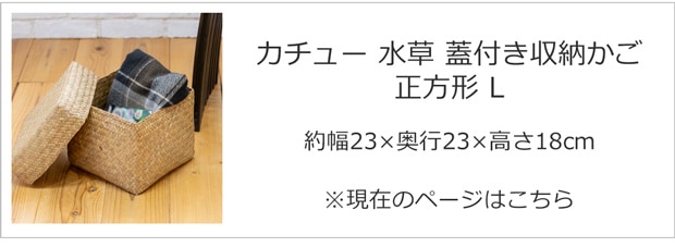 Lサイズ
