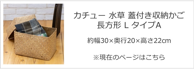 Lサイズ