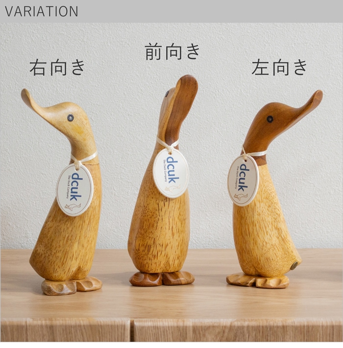 variation