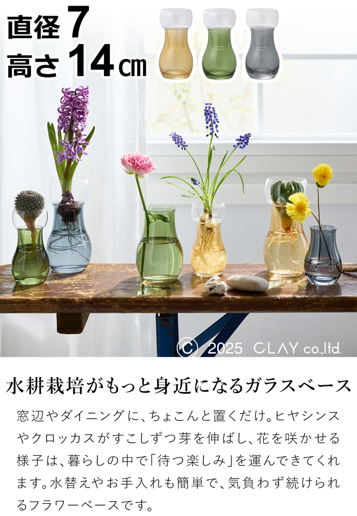 水耕栽培ガラスベース Bulbee S 花瓶 フラワーベース ガラス セパレート 花器 球根 多肉植物 ヒヤシンス 高さ14cm 直径7cm CLAY クレイ