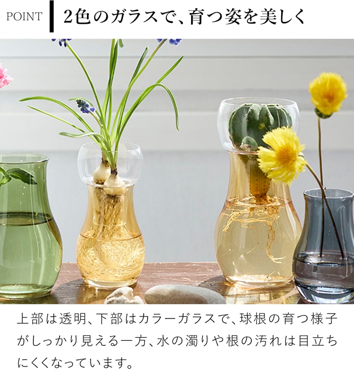 水耕栽培ガラスベース Bulbee S 花瓶 フラワーベース ガラス セパレート 花器 球根 多肉植物 ヒヤシンス 高さ14cm 直径7cm CLAY クレイ