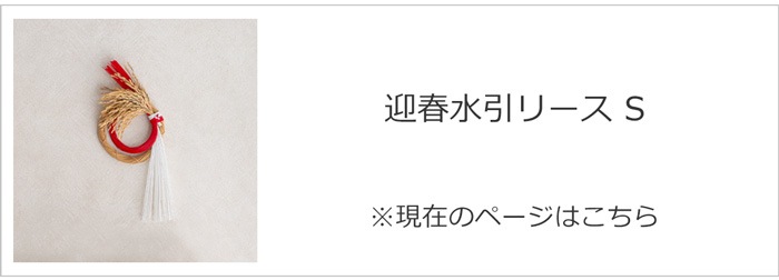 迎春水引リース S