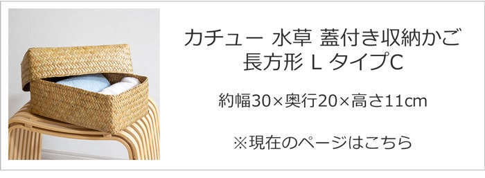 タイプC Lサイズ