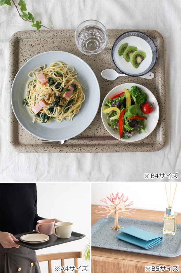 SEKISAKA セキサカ PLACE B5 Tray トレー
