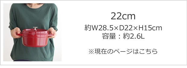 22cm