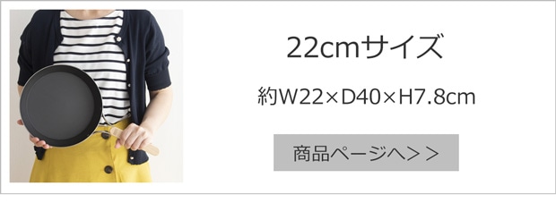 enzo エンゾウ 鉄フライパン 22cm